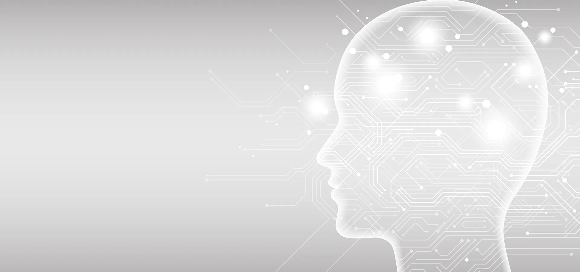 AI Software Consulting Company for AI Strategy