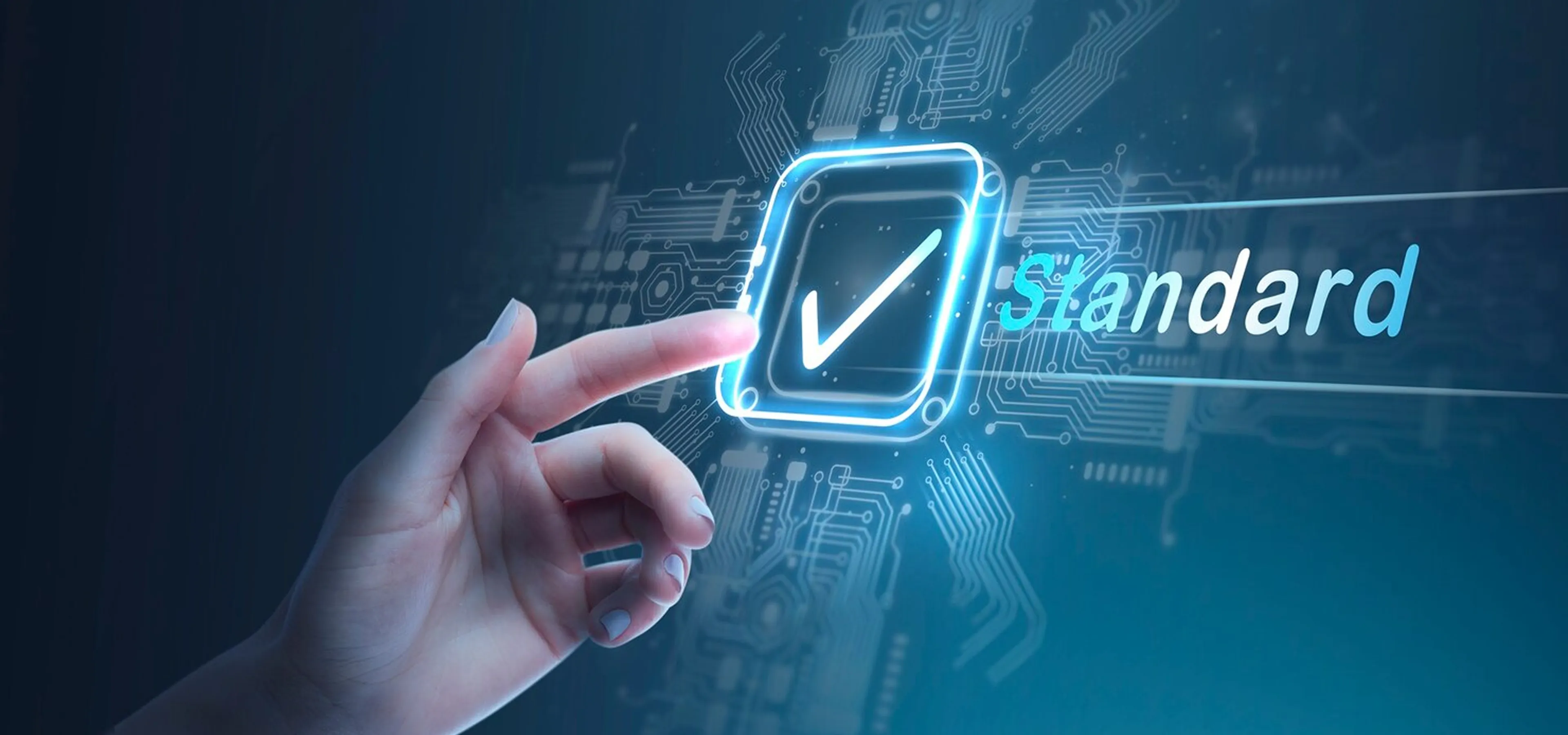 Automated GoHighLevel White Label Services for Agencies and Growing Businesses