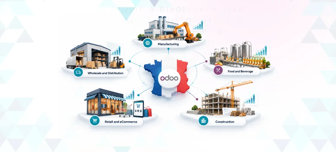 Top Industries in France Using Odoo ERP to Improve Business Efficiency